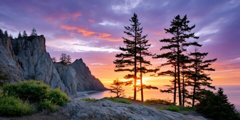 Coastal cliffs and pine trees during vibrant ocean sunset