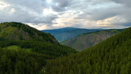 Fototapeta premium Green cedar forest in the Altai Mountains and blue thunderclouds in the sky, aerial view