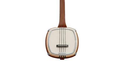 Close-up of a Banjo