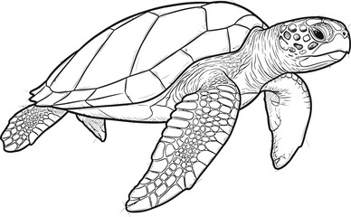 Detailed black and white line art drawing of a sea turtle swimming in ocean water