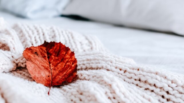 ベッドの上に置かれた赤い葉