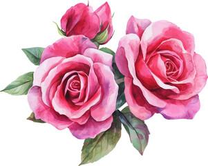 bouquet of pink roses