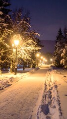 Snowy path illuminated by streetlights in a peaceful winter night scene