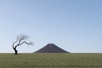 Solitary leafless tree on green grass field with symmetrical mountain cone under clear blue sky