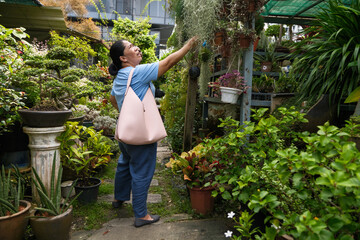 Woman explores a plant nursery while looking at hanging plants and enjoying her surroundings during a sunny day