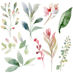 Watercolor Floral Botanical Illustration 24
