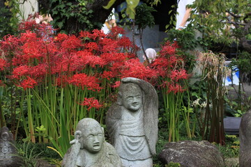 Fototapeta premium Japanese Red Spider Lily and Stone Statue