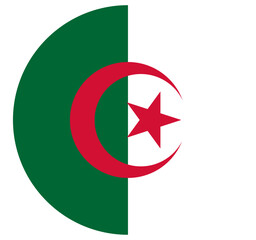 button flag of Algeria icon vector illustration 
