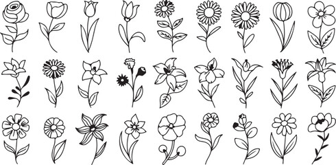 Collection of Hand Drawn Outline Flowers and Botanical Elements floral bloom