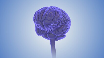 Colorful Brain Depicting Cognitive Disorder Effects