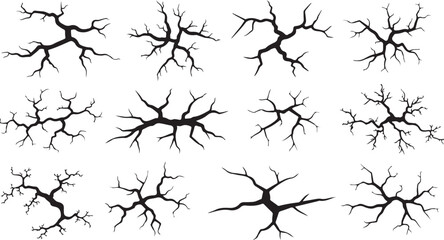 A collection of black tree branch silhouettes on a white background