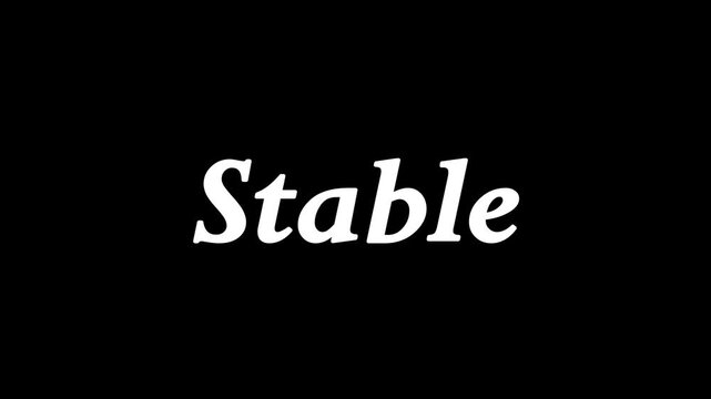 The word stable displayed prominently in white stylized serif font against a plain black background suggesting reliability and firm foundation concepts.