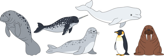 Arctic animal cartoon vector illustration set with seal narwhal beluga whale penguin and walrus © Sumon Creative