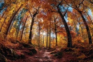 Fototapeta premium Sunlight filters through vibrant autumn foliage in a tranquil forest, showcasing golden and red leaves along a serene pathway