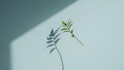 Minimalist green leaf branch casting a soft shadow on a clean pastel blue wall background