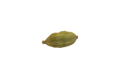 A single cardamom pod with a light brown and green textured surface is centered in the frame against a bright pure white background cutout