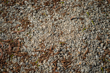 Gravel surface with scattered leaves and small plants, creating natural texture. earthy tones and varied sizes of stones add visual interest to ground