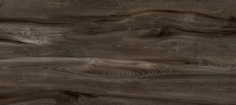 texture of wood premium texture background natural walnut wooden brown.