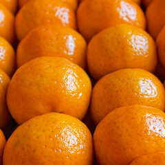 Fresh tangerines in boxes on the shelves of a grocery supermarket, tangerines on the shelves of a grocery store