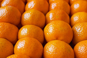 Fresh tangerines in boxes on the shelves of a grocery supermarket, tangerines on the shelves of a grocery store