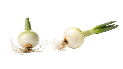 Two fresh, white onions with green stalks and visible roots, isolated against a black background. Simple composition highlighting natural food