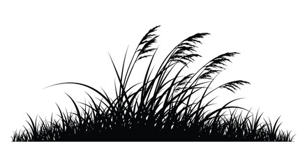 Tall grasses and reeds depicted in a striking black and white composition silhouette © Jewel