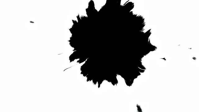 colorful black on white background video 4k