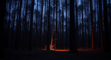 Bright glowing embers illuminate the base of dense, dark forest trees during twilight hours.