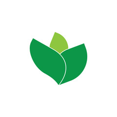 leaf    logo icon illustration flat 
