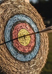 Arrow successfully striking the center of a straw target face during an outdoor activity