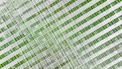 Greenhouse aerial drone view from above, large industrial greenhouses for growing vegetables, modern plantation glasshouse area background, agriculture in the Netherlands