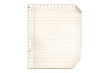 Lined paper sheet with torn edges and ring binder holes, transparent background, isolated blank notebook page ready for text