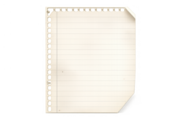 Lined paper sheet with torn edges and ring binder holes, transparent background, isolated blank notebook page ready for text