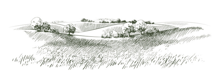 Beautiful hand drawn landscape with rolling hills and trees in sketch style.