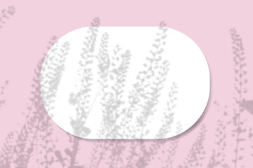 Natural light casts shadows from field grass on an oval sheet of white paper lying on a horizontal pink background. Mockup
