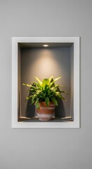 Illuminated houseplant sits within a modern recessed wall niche