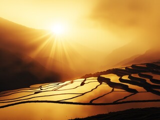 Golden sunrise illuminates terraced rice fields in a misty mountain valley
