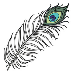 Obraz premium Exotic Peacock Feather Detailed Artwork