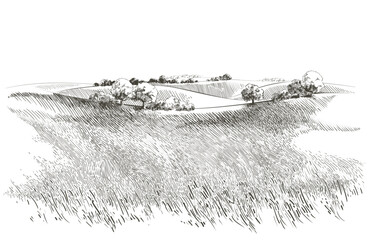 Monochromatic Hand Drawn Sketch of a Rural Landscape with Rolling Hills and Trees.