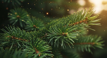 Pine tree branches with lush green needles and golden lights