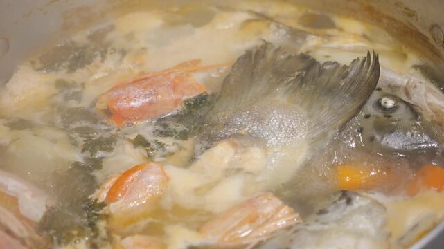 Submerged in broth, head and tail fin of Tilapia (Oreochromis niloticus), and large Tiger Prawns (Penaeus monodon) are visible, showing a bright orange hue from long cooking process, extreme close up.