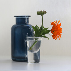 Minimalist still life with a calendula flower in a small crystal vase and a vintage colored glass bottle. Light blurred background.