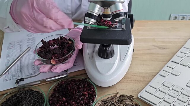 Testing and examining various types of herbs with a microscope in a lab setting