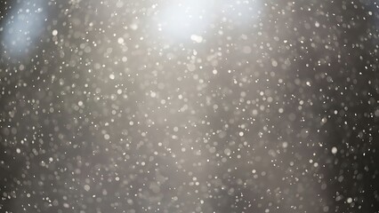 Obraz premium Falling Snow Background With Bright Light snowflakes gray background