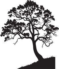 Obraz premium Detailed Black Silhouette of a Sprawling Tree on a Grassy Hill