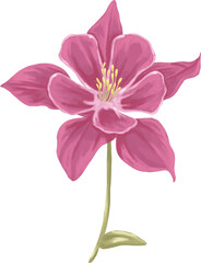 Winky Rose Flower Botanical Painting Romantic Bloom