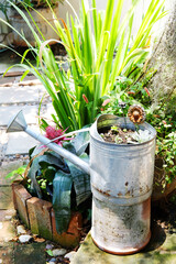Rustic aluminum watering can decorative in garden