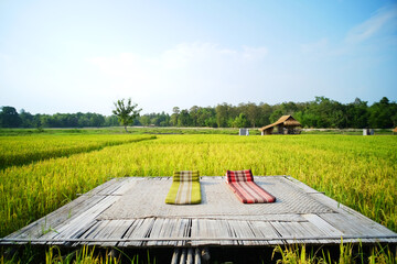 cushion seat on rustic bamboo raft in lush green rice fields wit hut and mountain views. Traveler happy and destination travel in Thailand
