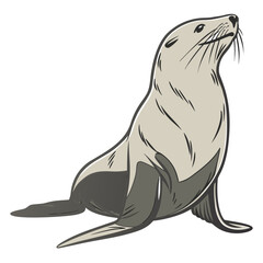 Realistic Seal Sitting Upright Isolated on White Background © Boina