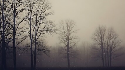 Obraz premium Bare trees in foggy landscape with falling snow winter